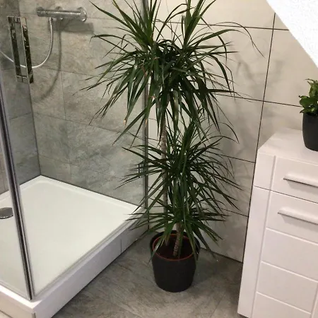 Connysferienwohnung באד לאאספה